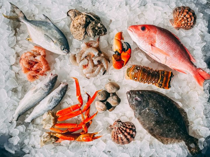 Seafood - orange and white fish on white and black pebbles