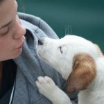 Pet Care - Woman Wearing Gray Jacket Beside White Puppy